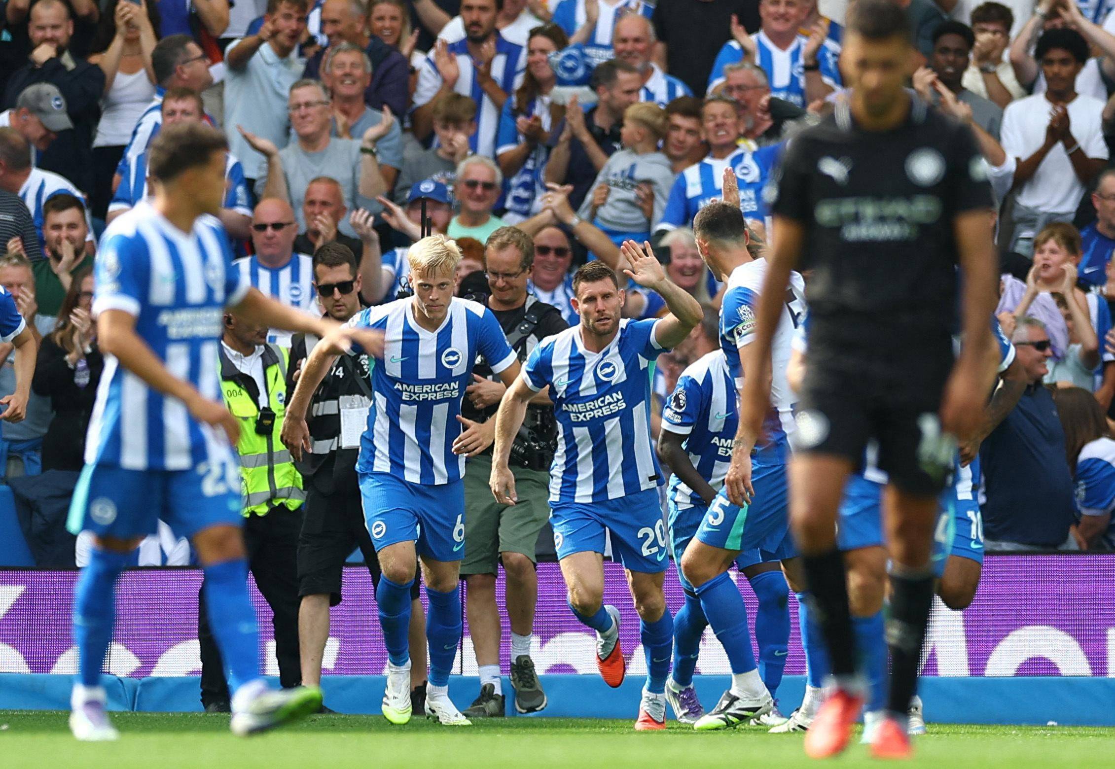 子与优质同 子与优质同